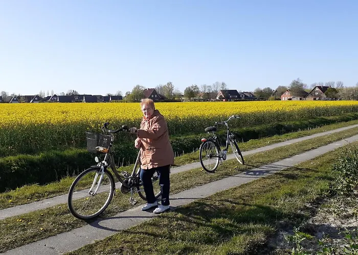 Appartamento 80 Qm Fuer Familie In Ostfriesland Zu Superpreisen